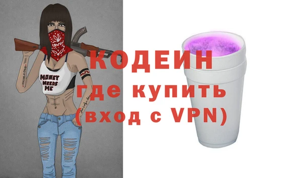 индика Алзамай