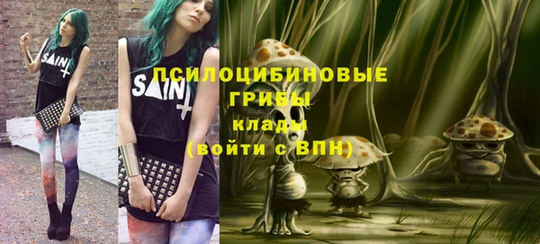 индика Алзамай
