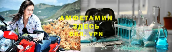 индика Алзамай