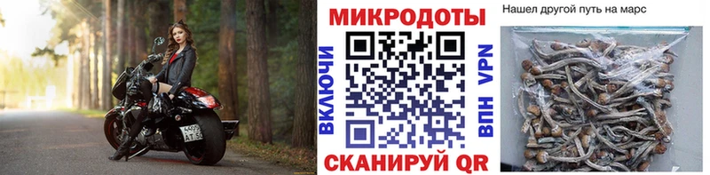 Псилоцибиновые грибы Magic Shrooms закладка Феодосия